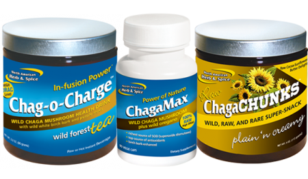 chaga